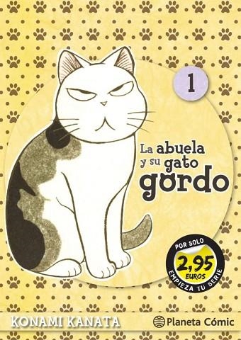 SM LA ABUELA Y SU GATO GORDO Nº 01 2,95 | 9788411122603 | KANATA, KONAMI | Llibreria Online de Banyoles | Comprar llibres en català i castellà online