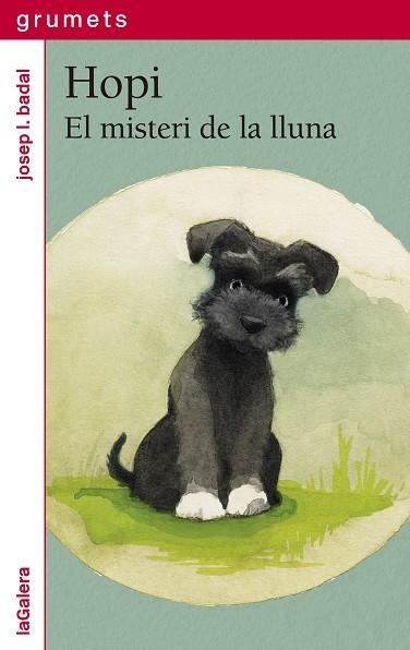 HOPI 1. EL MISTERI DE LA LLUNA | 9788424675271 | BADAL, JOSEP LL | Llibreria Online de Banyoles | Comprar llibres en català i castellà online