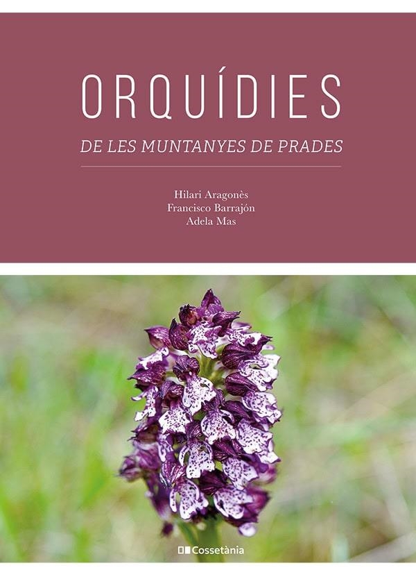 ORQUÍDIES DE LES MUNTANYES DE PRADES | 9788413563817 | ARAGONÈS CABRÉ, HILARI/BARRAJÓN IBÁÑEZ, FRANCISCO/MAS CARRE, ADELA | Llibreria L'Altell - Llibreria Online de Banyoles | Comprar llibres en català i castellà online - Llibreria de Girona