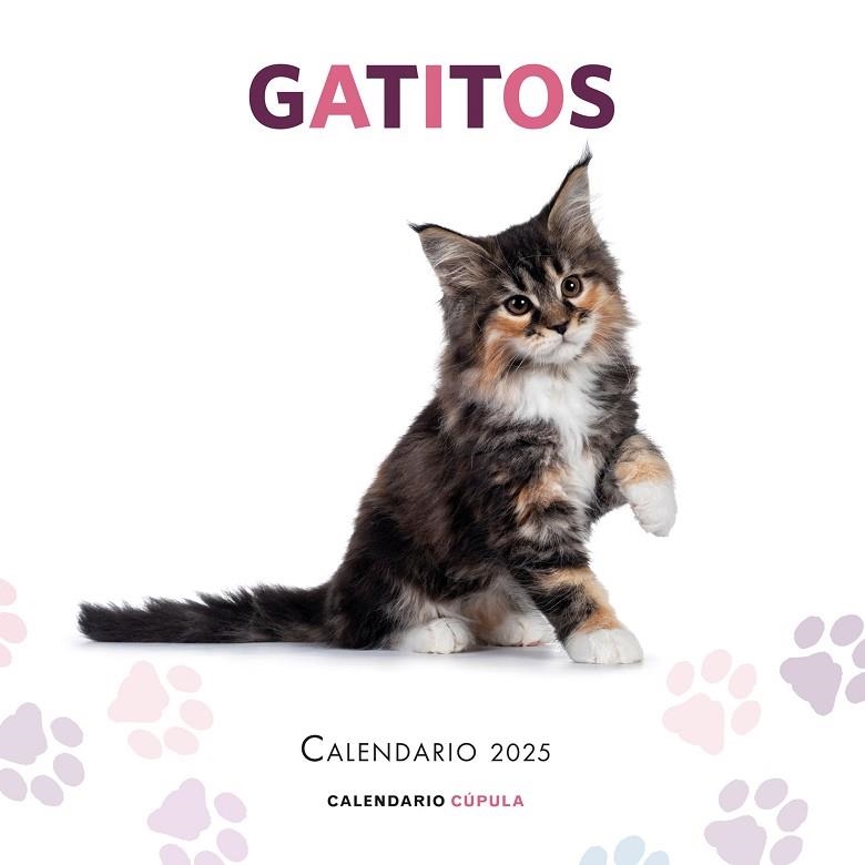 CALENDARIO GATITOS 2025 | 9788448041656 | AA. VV. | Llibreria Online de Banyoles | Comprar llibres en català i castellà online