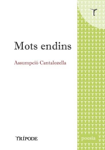 MOTS ENDINS | 9788412920819 | CANTALOZELLA, ASSUMPCIÓ | Llibreria L'Altell - Llibreria Online de Banyoles | Comprar llibres en català i castellà online - Llibreria de Girona