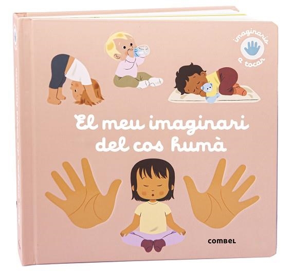 MEU IMAGINARI DEL COS HUMÀ, EL | 9788411581974 | RAGONDET, NATHAIE | Llibreria Online de Banyoles | Comprar llibres en català i castellà online