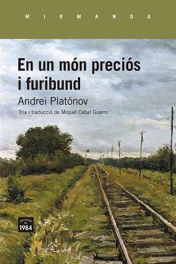 EN UN MÓN PRECIÓS I FURIBUND | 9788418858857 | PLATÓNOV, ANDREI | Llibreria Online de Banyoles | Comprar llibres en català i castellà online