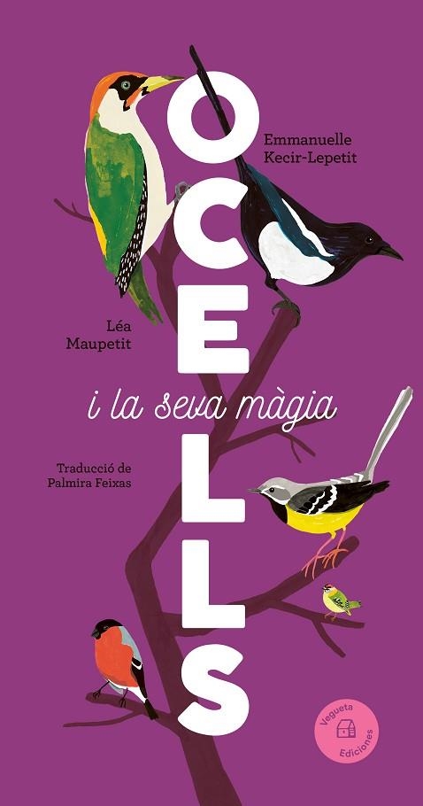 OCELLS | 9788419794376 | KECIR-LEPETIT, EMMANUELLE | Llibreria Online de Banyoles | Comprar llibres en català i castellà online