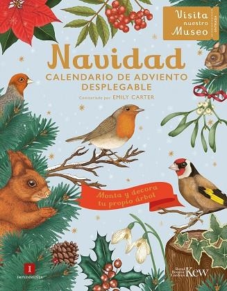 NAVIDAD. CALENDARIO DE ADVIENTO DESPLEGABLE | 9788419581624 | CARTER, EMILY | Llibreria L'Altell - Llibreria Online de Banyoles | Comprar llibres en català i castellà online - Llibreria de Girona