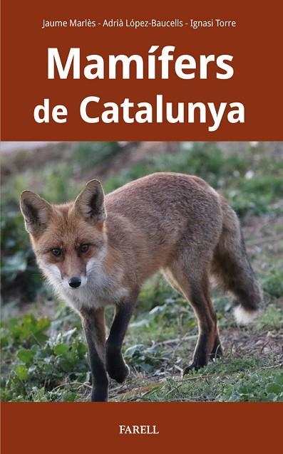 MAMÍFERS DE CATALUNYA | 9788417116927 | MARLES MAGRE, JAUME/LOPEZ-BAUCELLS, ADRIA/TORRE COROMINAS, IGNASI | Llibreria Online de Banyoles | Comprar llibres en català i castellà online