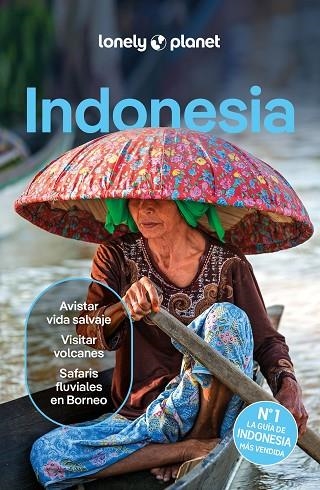 INDONESIA 6 | 9788408291190 | D'ARCY, JAYNE/EIMER, DAVID/HARDING, PAUL/JOHANSON, MARK/LEE, JASON/ST.LOUIS, REGIS/BERKMOES, RYAN VE | Llibreria L'Altell - Llibreria Online de Banyoles | Comprar llibres en català i castellà online - Llibreria de Girona