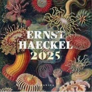 (2025).CALENDARIO ERNST HAECKEL | 9786316544506 | VV.AA. | Llibreria Online de Banyoles | Comprar llibres en català i castellà online