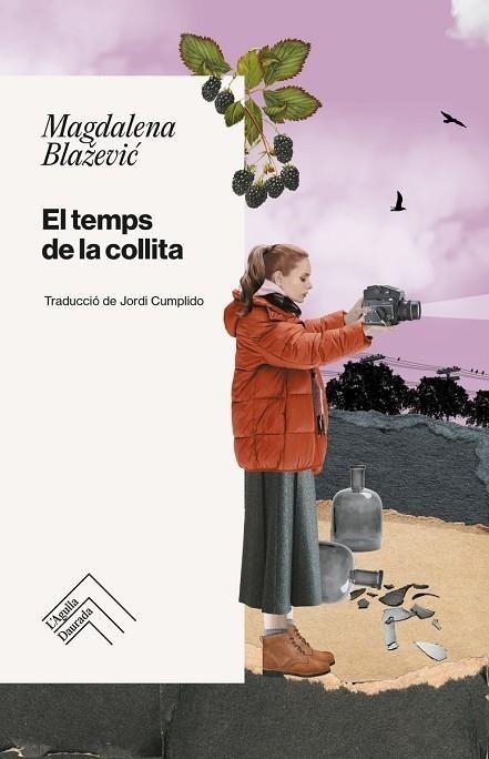 TEMPS DE LA COLLITA, EL | 9788419515223 | BLAZEVIC, MAGDALEN | Llibreria Online de Banyoles | Comprar llibres en català i castellà online