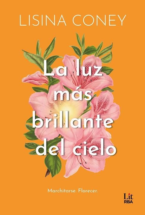 LA LUZ MÁS BRILLANTE DEL CIELO | 9788411329323 | CONEY, LISINA | Llibreria Online de Banyoles | Comprar llibres en català i castellà online