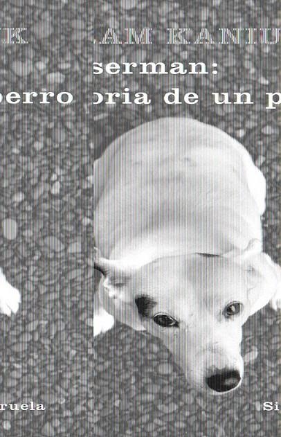 WASSERMAN: HISTORIA DE UN PERRO | 9788498411751 | KANIUK, YORAM | Llibreria Online de Banyoles | Comprar llibres en català i castellà online