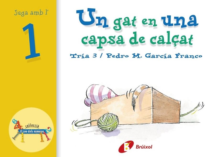 UN GAT EN UNA CAPSA DE CALÇAT | 9788483041529 | GARCÍA FRANCO, PEDRO M | Llibreria Online de Banyoles | Comprar llibres en català i castellà online