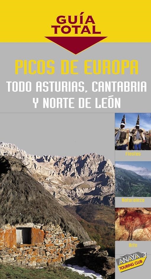 PICOS DE EUROPA GUIA TOTAL | 9788497762809 | MARTIN, RAMON (MARTIN MARTIN) | Llibreria Online de Banyoles | Comprar llibres en català i castellà online