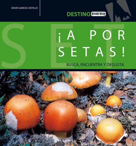 A POR SETAS! BUSCA,ENCUENTRA Y DEGUSTA | 9788424105198 | GARCIA CASTILLO,ANGEL DAVID | Llibreria Online de Banyoles | Comprar llibres en català i castellà online