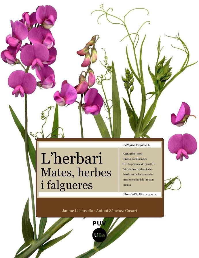 HERBARI, L' -MATES HERBES I FA | 9788447531905 | LLISTOSELLA, JAUME/SÀNCHEZ-CUX | Llibreria Online de Banyoles | Comprar llibres en català i castellà online