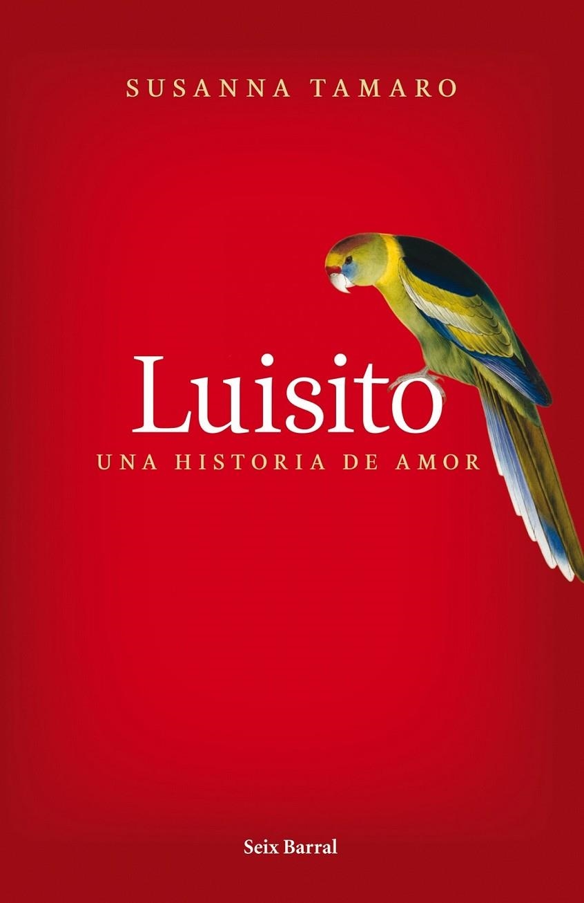 LUISITO. UNA HISTORIA DE AMOR | 9788432231841 | SUSANNA TAMARO | Llibreria Online de Banyoles | Comprar llibres en català i castellà online