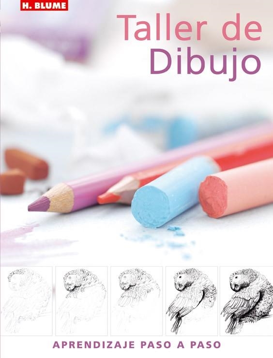 TALLER DE DIBUJO | 9788496669031 | WATSON, LUCY | Llibreria Online de Banyoles | Comprar llibres en català i castellà online