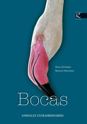 BOCAS (ALBUM IL.TD) | 9788496957282 | GUTIERREZ, XULIO / FERNANDEZ, NICOLAS | Llibreria L'Altell - Llibreria Online de Banyoles | Comprar llibres en català i castellà online - Llibreria de Girona