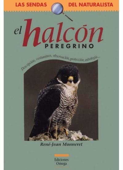 HALCON PEREGRINO, EL: DESCRIPCION, COSTUMBRES, OBSERVACION.. | 9788428213202 | MONNERET, RENE-JEAN | Llibreria Online de Banyoles | Comprar llibres en català i castellà online