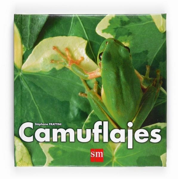 CAMUFLAJES | 9788467534009 | FRATTINI, STEPHANE | Llibreria Online de Banyoles | Comprar llibres en català i castellà online