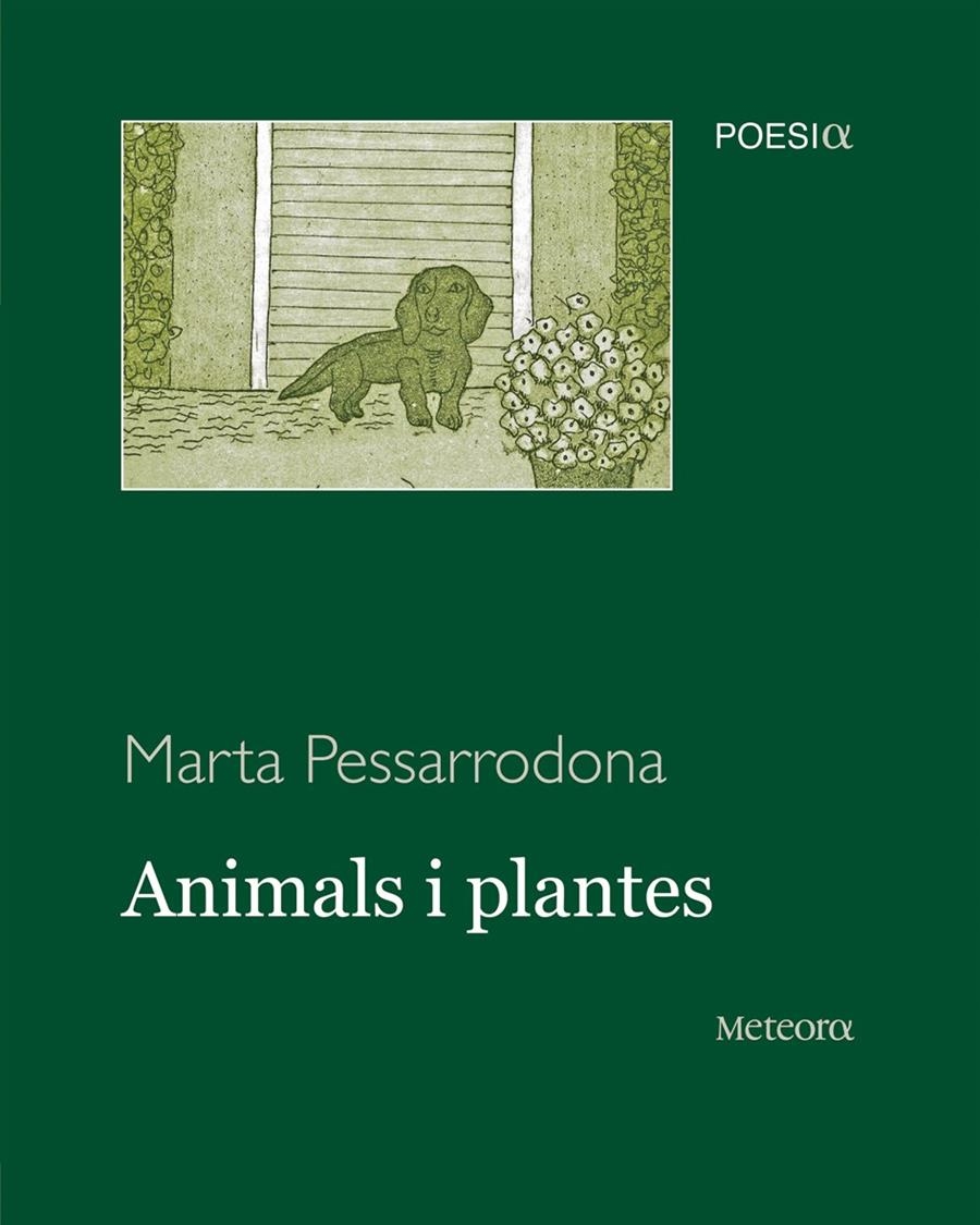 ANIMALS I PLANTES | 9788495623973 | PESSARRODONA, MARTA | Llibreria L'Altell - Llibreria Online de Banyoles | Comprar llibres en català i castellà online - Llibreria de Girona