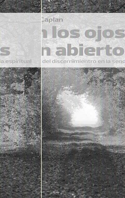 CON LOS OJOS BIEN ABIERTORS. LA PRÁCTICA DEL DISCERNIMIENTO | 9788472457607 | CAPLAN, MARIANA | Llibreria Online de Banyoles | Comprar llibres en català i castellà online