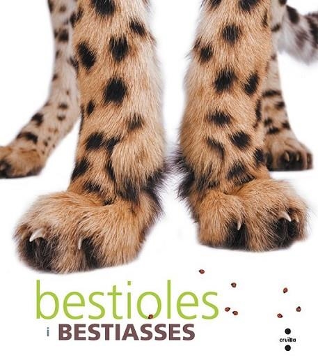 BESTIOLES I BESTIASSES | 9788466127271 | ROMÀ I GARCIA, CORAL | Llibreria Online de Banyoles | Comprar llibres en català i castellà online