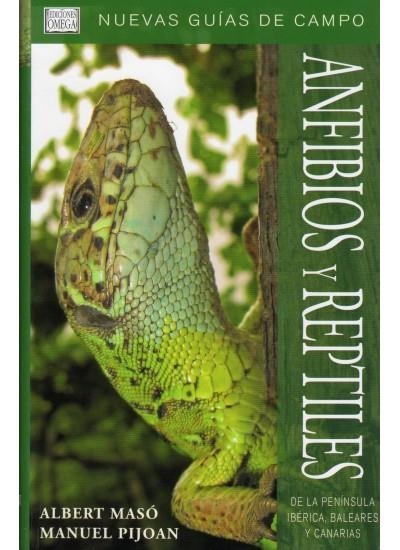 ANFIBIOS Y REPTILES | 9788428213684 | MASO,ALBERT | Llibreria Online de Banyoles | Comprar llibres en català i castellà online